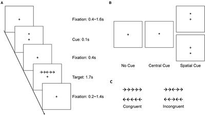 Efficiency and Enhancement in Attention Networks of Elite Shooting and Archery Athletes